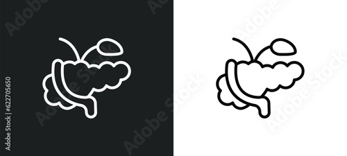 pancreas outline icon in white and black colors. pancreas flat vector icon from medical collection for web, mobile apps and ui.