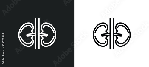 kidney outline icon in white and black colors. kidney flat vector icon from medical collection for web, mobile apps and ui.