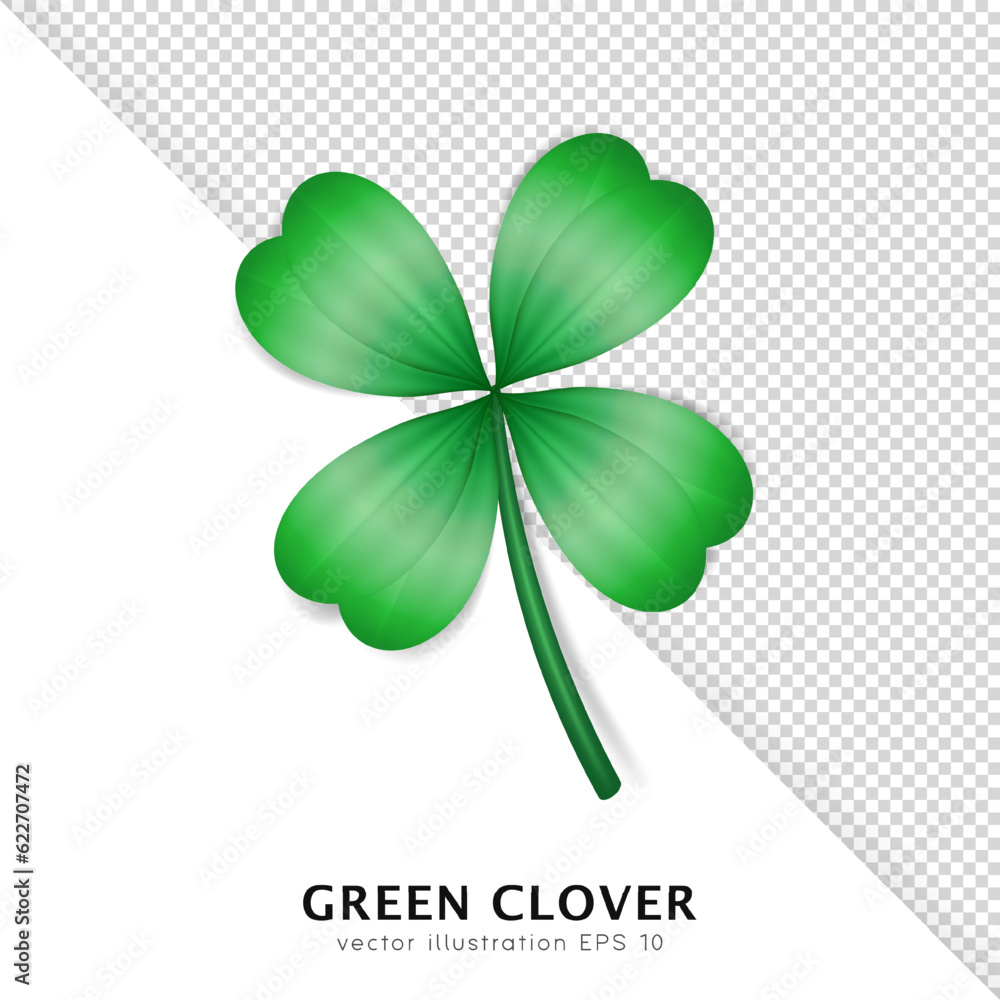 Realistic vector green clover isolated on transparent background ...