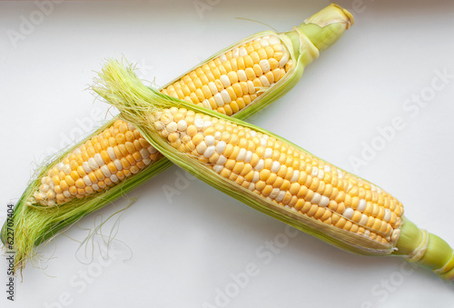 Εκτύπωση καμβά Two swings of ripe corn on a white background