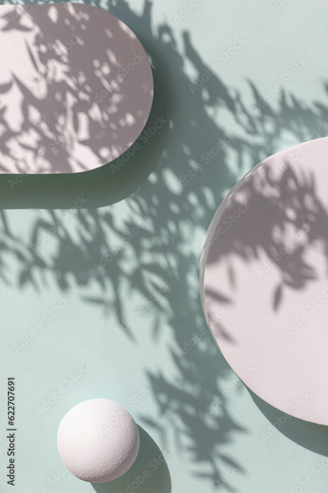 Round white geometric shapes frame with leaves shadows on the blue ...