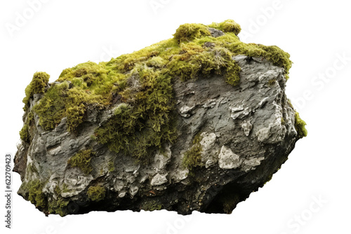Overgrown lichen on a rock. isolated object, transparent background