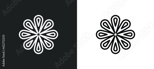 anise outline icon in white and black colors. anise flat vector icon from india collection for web, mobile apps and ui.
