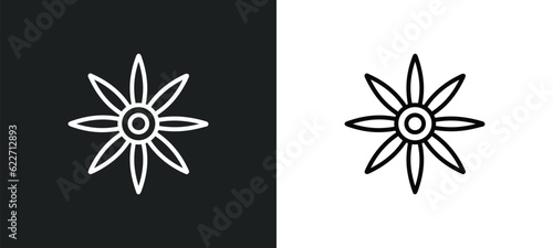 anise outline icon in white and black colors. anise flat vector icon from india collection for web, mobile apps and ui.