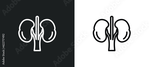 kidneys outline icon in white and black colors. kidneys flat vector icon from health and medical collection for web, mobile apps and ui.