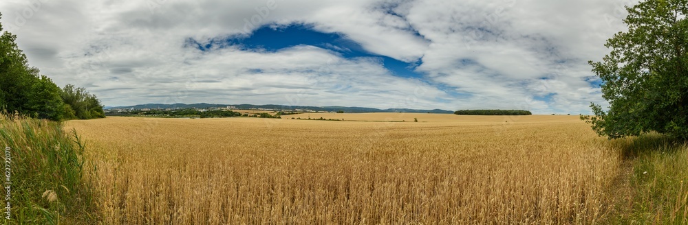 country side with wheat fields and city in background