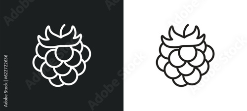 raspberry outline icon in white and black colors. raspberry flat vector icon from fruits collection for web, mobile apps and ui.
