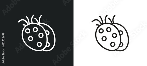 tuber outline icon in white and black colors. tuber flat vector icon from fruits and vegetables collection for web, mobile apps and ui.