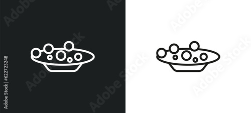dongpo pork outline icon in white and black colors. dongpo pork flat vector icon from food and restaurant collection for web, mobile apps and ui. photo