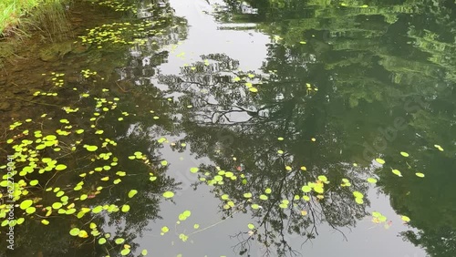 Tilt up peaceful river