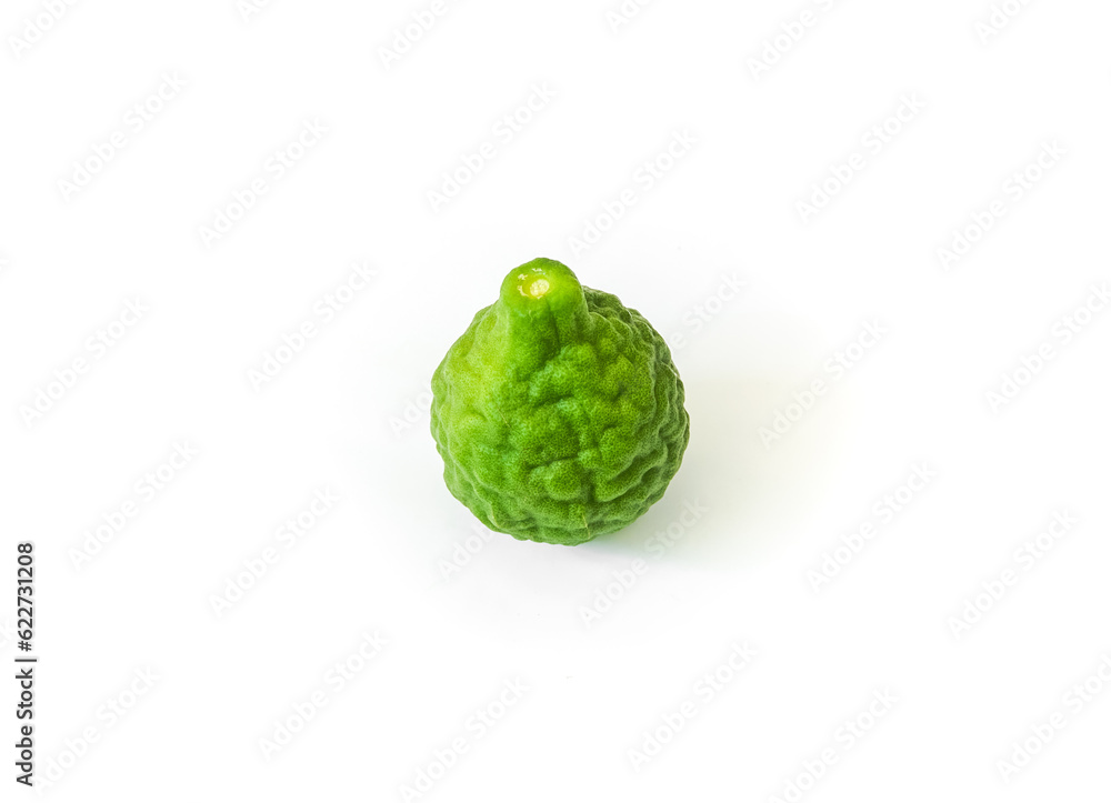 bergamot on a white background bergamot on a white background