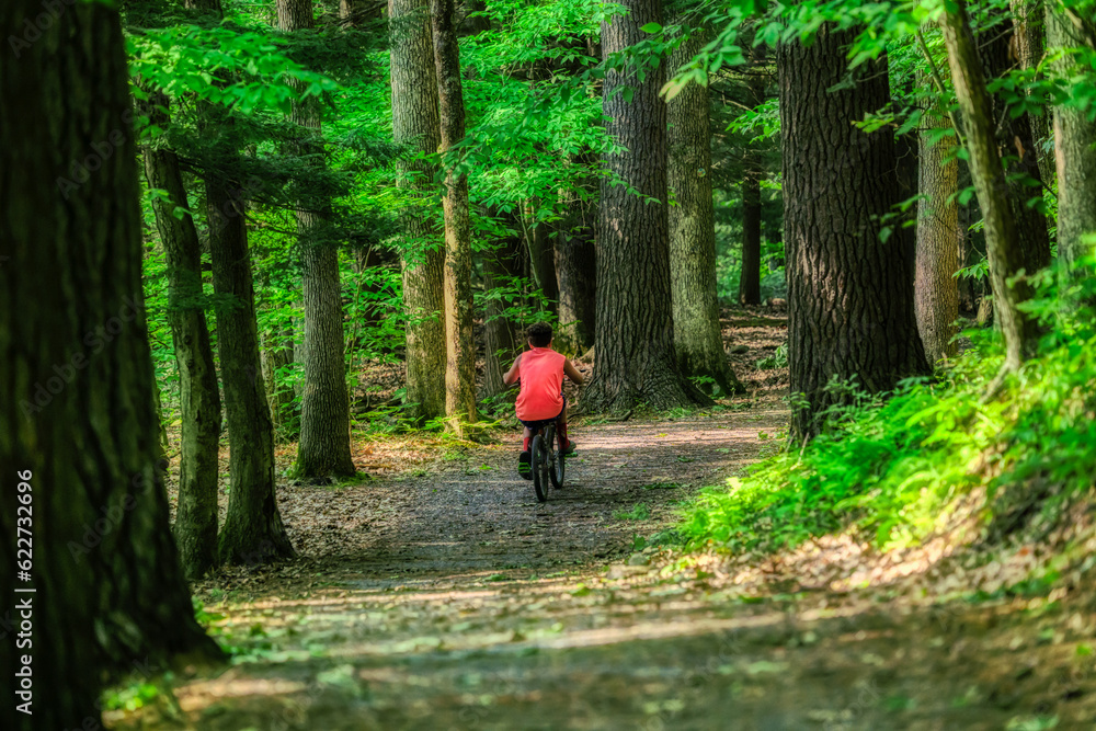 A young boy on his bike rides the trails at Chenango Valley State Park in Upstate NY.  Boy of bike in the woods by himself.
