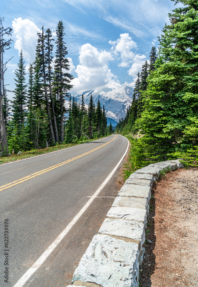 Fototapeta premium Mount Rainier And Road 6