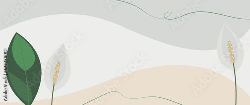 Tropical abstract background of hand drawn spathiphyllum flowers and leaf. Vector botanical illustration for banner, poster, Web and packaging.  