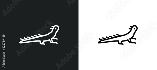 lizard outline icon in white and black colors. lizard flat vector icon from desert collection for web, mobile apps and ui.