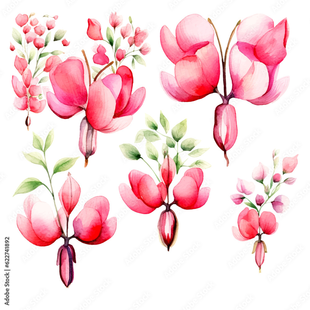 Set of soft pink floral watecolor. flowers and leaves. bleeding heart flower, invitation floral. Vector arrangements for greeting card or invitation design