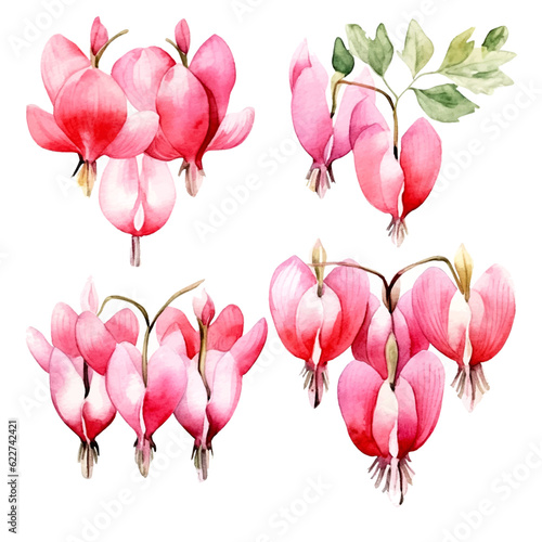 Set of soft pink floral watecolor. flowers and leaves. bleeding heart flower, invitation floral. Vector arrangements for greeting card or invitation design