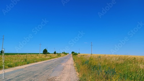 road in the field