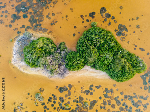 Aerial view of Laguna Rosada, a wetland in Dzemul Municipality, Yucatan, Mexico. photo