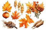 Watercolor Fall Decor Clip art pumpkins and leaves on white background Generative AI