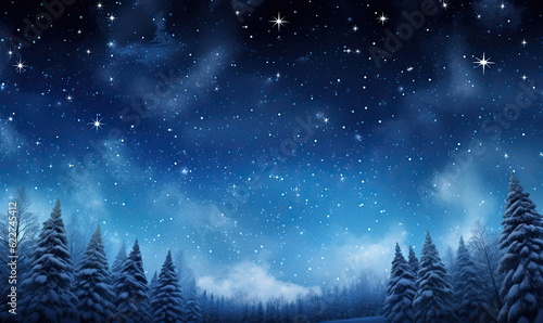 winter landscape at night with stars in the sky.