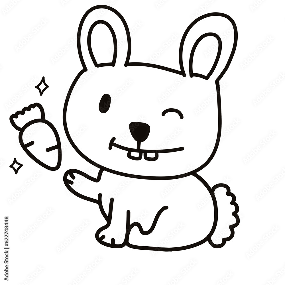 Rabbit guidelines Rabbit guidelines