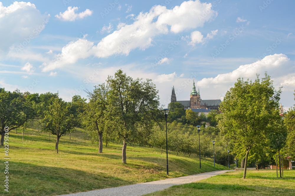 beautiful summer city park with trees in Prague