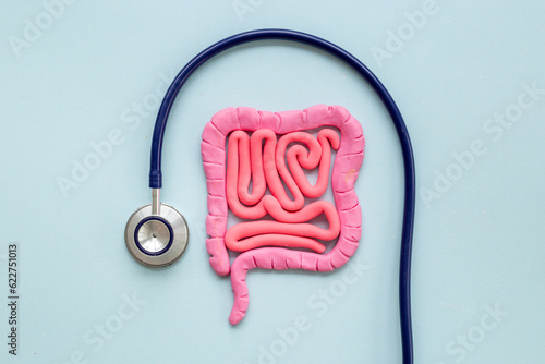 Photos Intestines colon organ stomach shape of plasticine