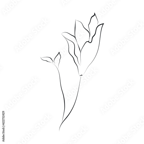 Line Drawing Botanical Wreath. Herbs and florals 05