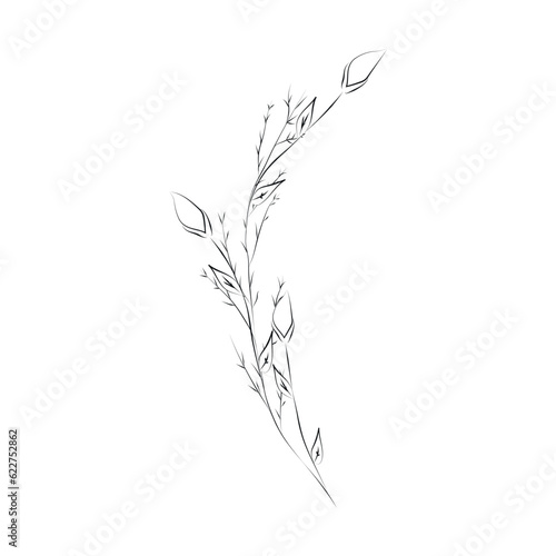 Line Drawing Botanical Wreath. Herbs and florals 09