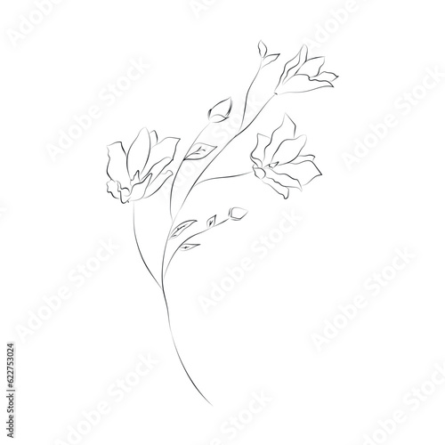 Line Drawing Botanical Wreath. Herbs and florals 12