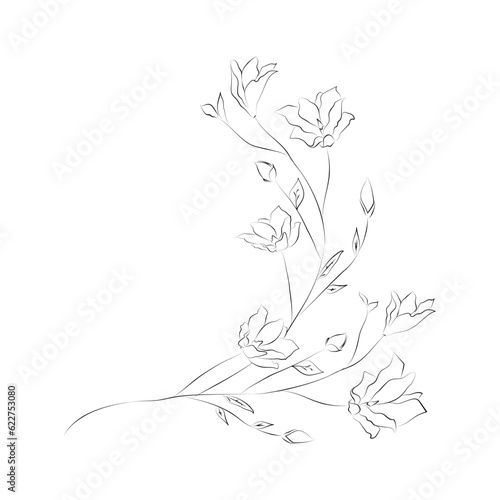 Line Drawing Botanical Wreath. Herbs and florals 13