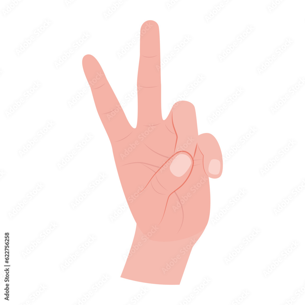 Gesture with two fingers. Sign of victory and peace. Vector illustration of a hand on a white background. Gesture with two fingers. Sign of victory and peace. Vector illustration of a hand on a white background.