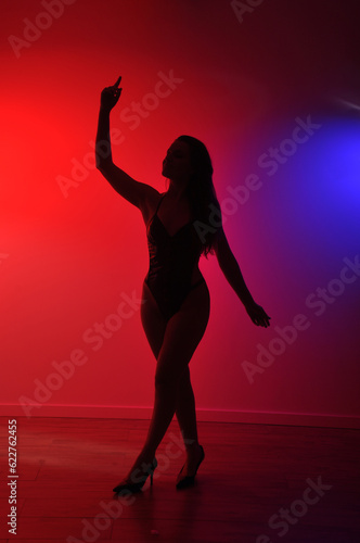 silhueta de bela mulher dançarina sensual sexy com salto alto em pose  © Alexandre