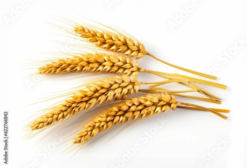 AI generated stalk of wheat on white background