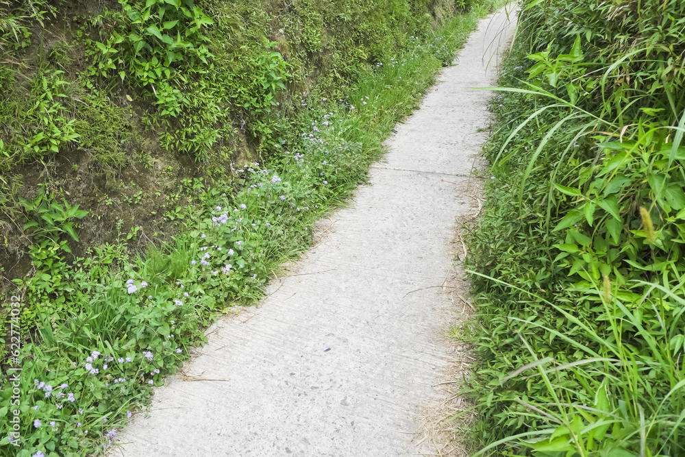 Concrete cement footpath in a mountainside as the way for farmers and vehicles to go to the fields or village between grass and soil cliffs.