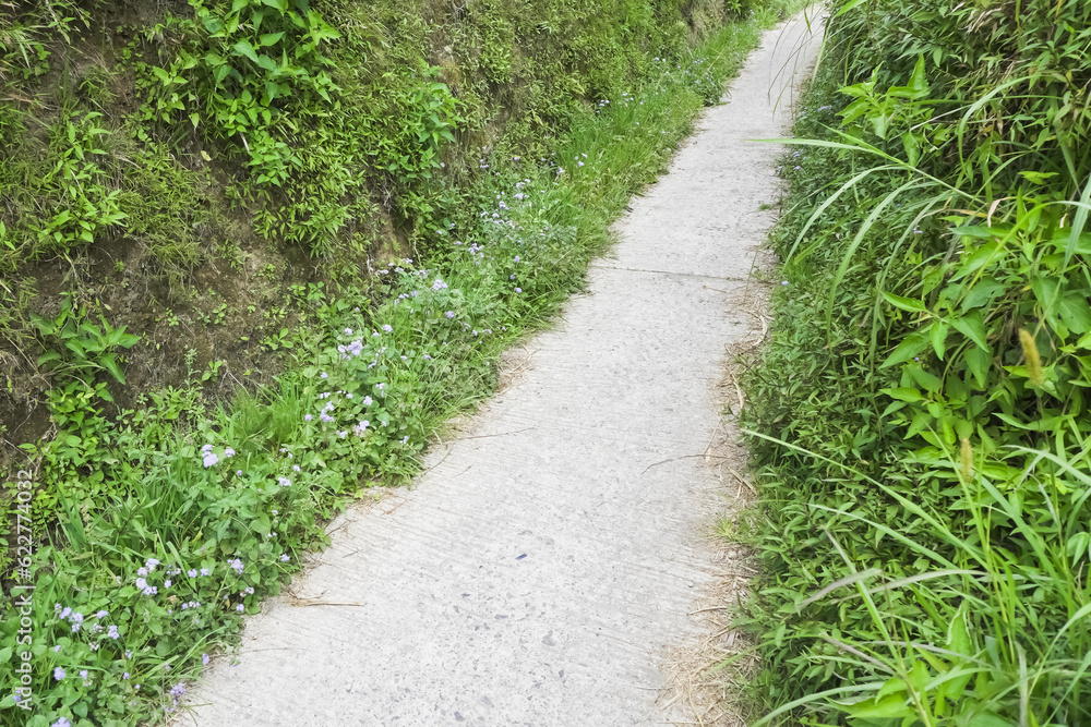 Concrete cement footpath in a mountainside as the way for farmers and vehicles to go to the fields or village between grass and soil cliffs. Concrete cement footpath in a mountainside as the way for farmers and vehicles to go to the fields or village between grass and soil cliffs.