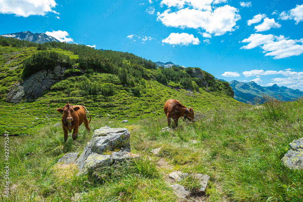 Wandern in den österreichischen Alpen