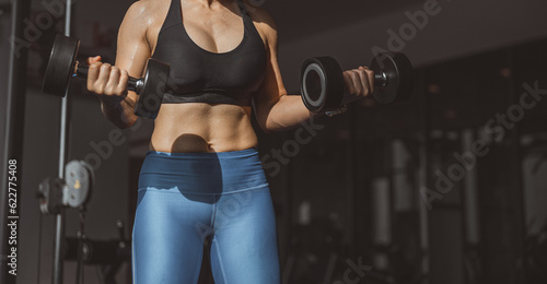Concepts healthy lifestyle and workout. Bodybuilder, Workout, Fitness muscular body, Fitness, Gym. Fitness asian woman doing exercise and lifting dumbbells weights, bodyweight at sport gym