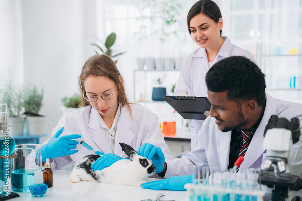 Scientist and Pharmacist Conducting Chemical Research and Animal Testing in a Laboratory. Rabbit in Laboratory Experiments. Ethical Pharmaceutical Research. Scientist and Pharmacist Conducting Chemical Research and Animal Testing in a Laboratory. Rabbit in Laboratory Experiments. Ethical Pharmaceutical Research.
