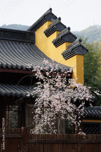 chinese architecture