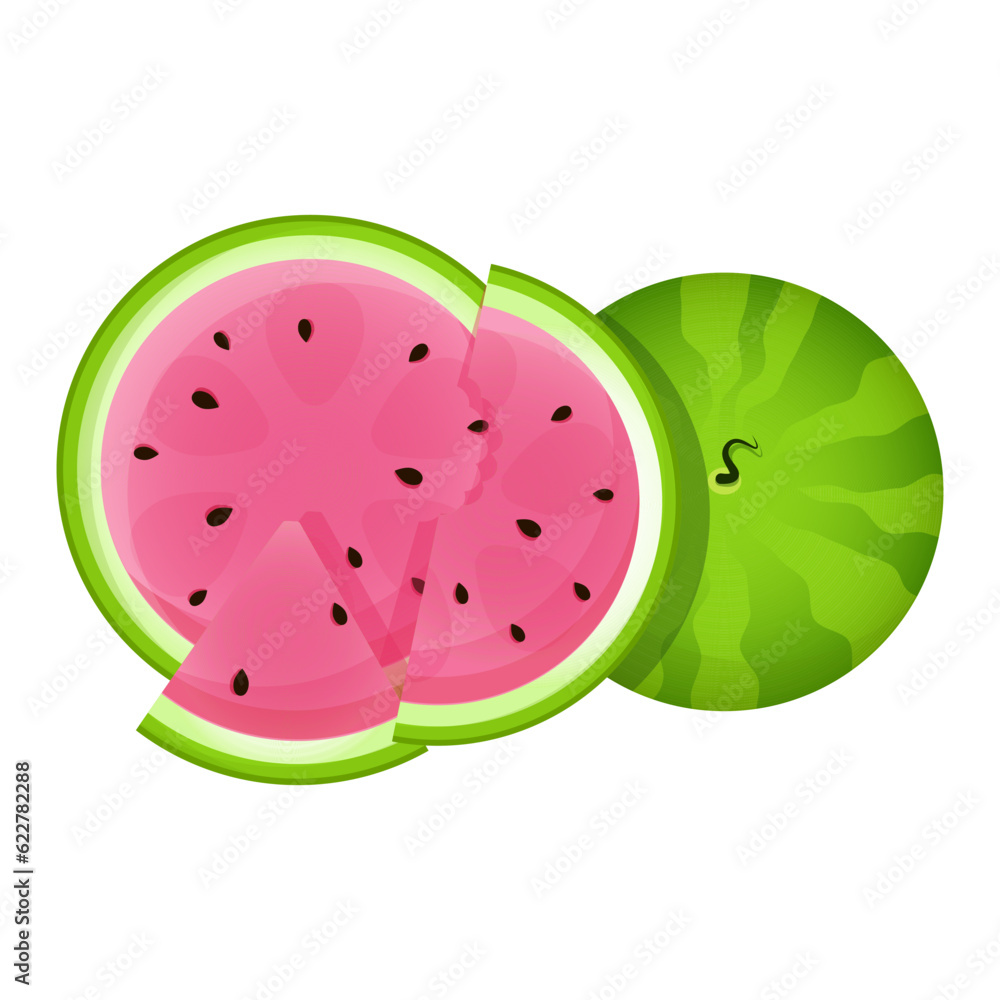 Composition of different juicy slices of watermelon Composition of different juicy slices of watermelon