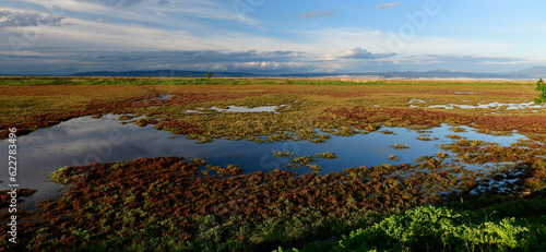 Salzwiesen im Nationalpark Axios-Delta, Griechenland // Salt marshes in the Axios Delta National park , Greece