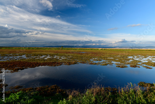 Salt marshes in the Axios Delta National park , Greece // Salzwiesen im Nationalpark Axios-Delta, Griechenland