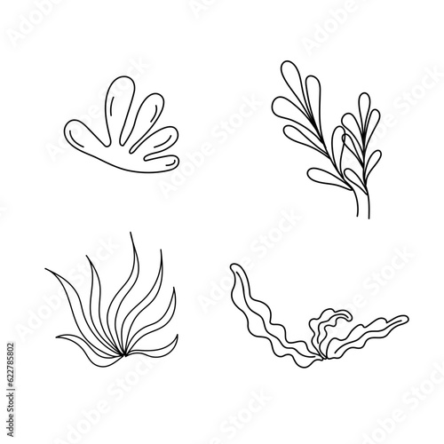 Set outline seaweed. Vector icon alga. Concept the world day ocean, sea plants.