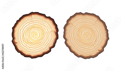 Tree, cross cut with bark, round shape
