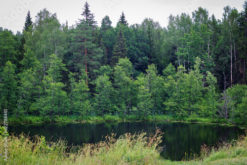 lake in the forest