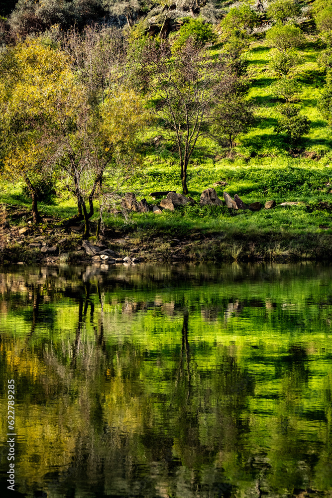 Obraz premium Green nature with reflections on river