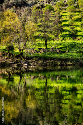Green nature with reflections on river