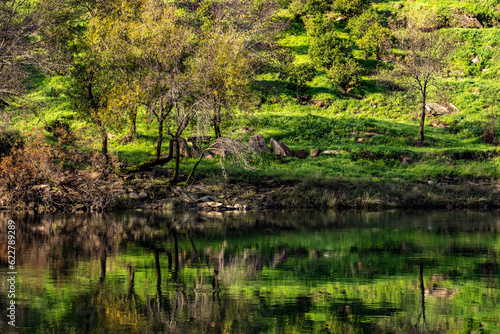 Green nature with reflections on river